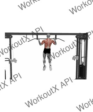 Pull Up Normal Grip exercise demonstration
