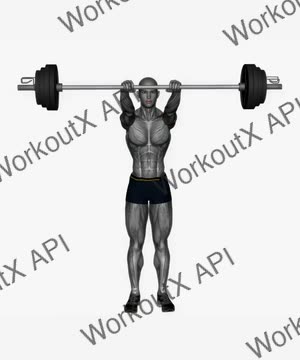 Front Raises Barbell exercise demonstration