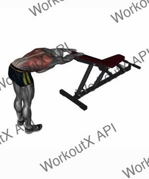 Back Stretch Standing With Bench exercise demonstration