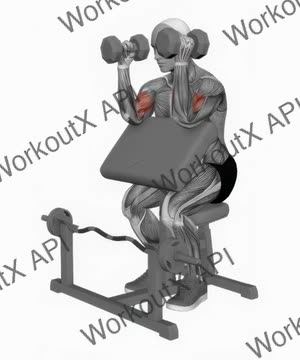 Dumbbell Hammer Preacher Curl Simultaneous Arms exercise demonstration