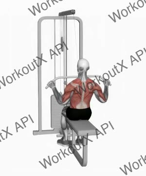 Cable Pulldown (Pro Lat Bar) exercise demonstration