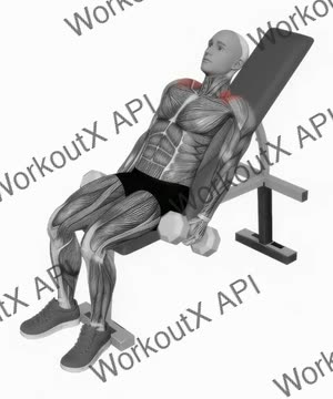Dumbbell Incline Shrug exercise demonstration
