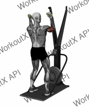 Ski Ergometer Cross Country Ski Face Biceps Curl Pull exercise demonstration