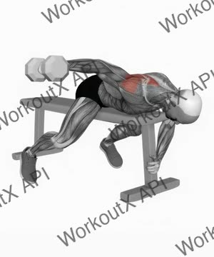 Dumbbell Lying One Arm Rear Lateral Raise exercise demonstration