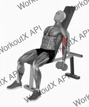 Dumbbell Incline Alternate Hammer Curl exercise demonstration