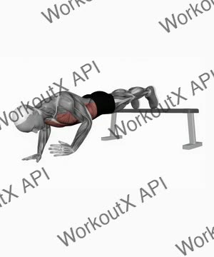 Decline Shoulder Tap exercise demonstration