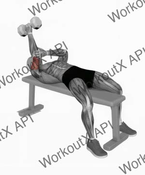 Dumbbell Lying One Arm Neutral Triceps Extension exercise demonstration