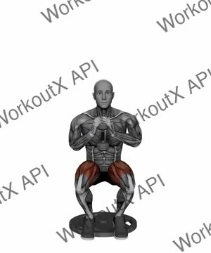 Narrow Stance Heels Elevated Dumbbell Goblet Squats exercise demonstration