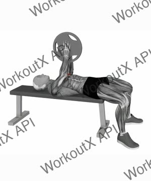 Plate Press exercise demonstration