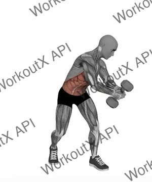 Dumbbell Diagonal Chop exercise demonstration