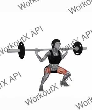 Barbell Full Squat Wide exercise demonstration