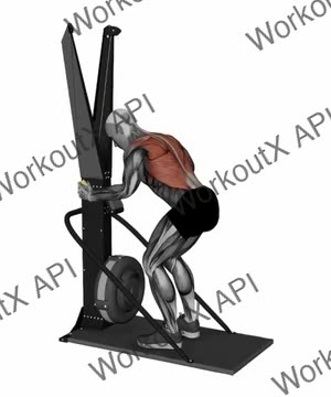 Ski Ergometer Cross Country Ski Basic Pull exercise demonstration