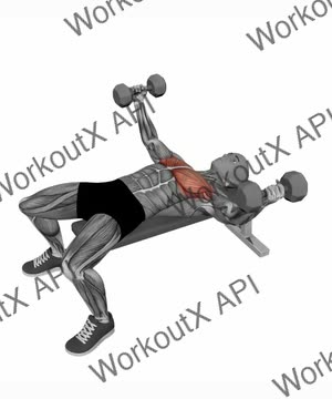 Dumbbell Fly Flat Bench exercise demonstration