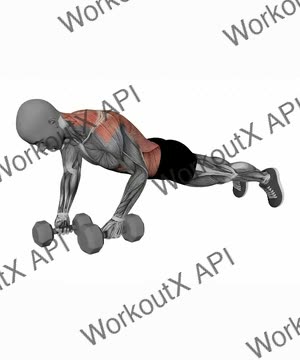 Dumbbells Plank to Alternating Row exercise demonstration
