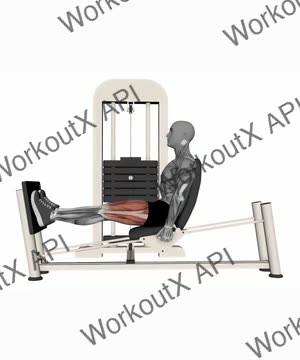 Horizontal Leg Press exercise demonstration