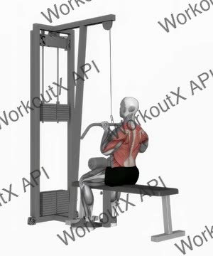 Cable Close Grip Front Lat Pulldown exercise demonstration