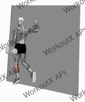 Dumbbell Single Leg Calf Raise Wall Support exercise demonstration