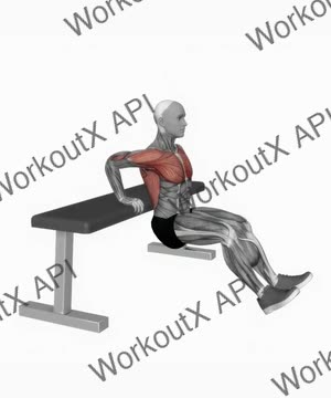 Bench Dip on Floor exercise demonstration