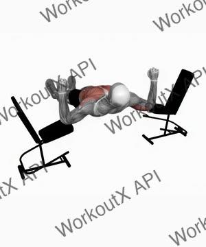 Elbow Lift Reverse Push Up exercise demonstration