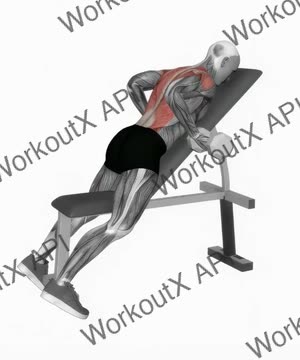 Dumbbell Lying Rear Delt Row exercise demonstration