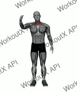 Easy Pose Neck Stretch exercise demonstration