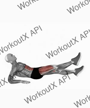 Alternate Leg Raise From Reverse Plank Position exercise demonstration