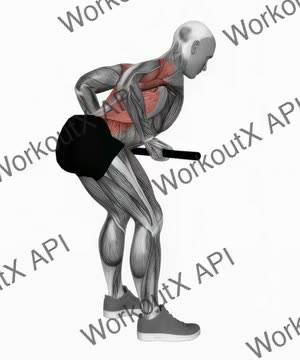 Bent-Over Row With Bar exercise demonstration