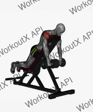 Prone Front Raises Dumbbell on Bench exercise demonstration