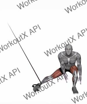 Suspension Trainer With Grips Side Squat exercise demonstration