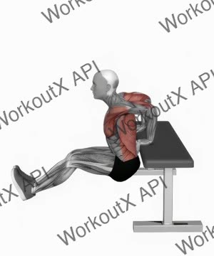 Chest Dip on Bench exercise demonstration