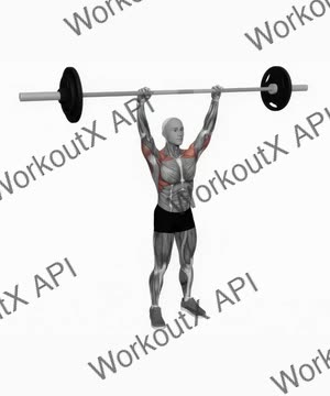 Barbell Standing Shoulder Press exercise demonstration
