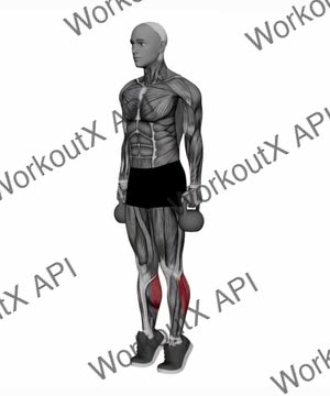 Kettlebell Calf Raise exercise demonstration