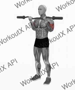 Ez Barbell Curl exercise demonstration
