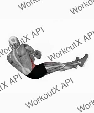 Dumbbell Straight Leg Russian Twist exercise demonstration