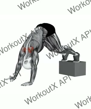 Elevated Pike Shoulder Shrug exercise demonstration