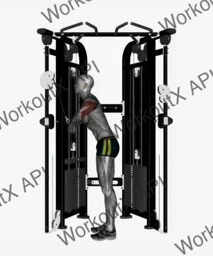 Cable Triceps Push Down Elbow Out (V Bar) exercise demonstration