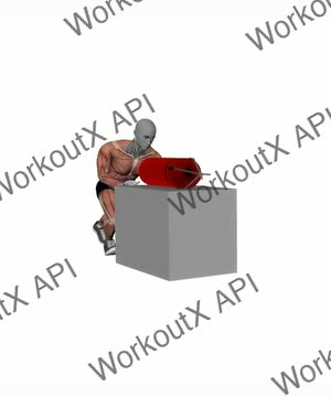 Box Sled Push exercise demonstration