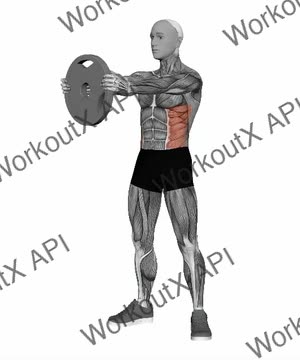 Plate Standing Twist exercise demonstration