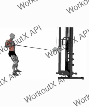 Single Arm Cable Row Right exercise demonstration