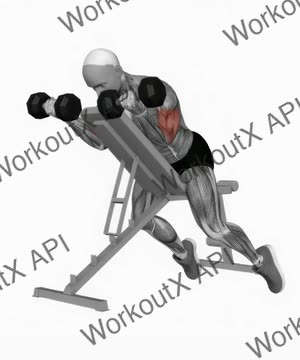 Dumbbell Prone Incline Curl exercise demonstration