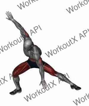 Plyo Side Lunge Stretch exercise demonstration