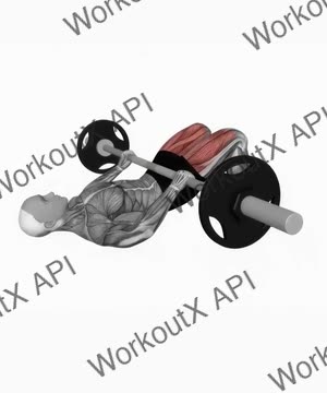 Barbell Glute Bridge exercise demonstration