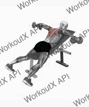 Dumbbell Reverse Fly exercise demonstration