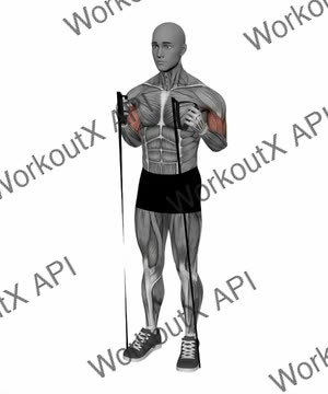 Hammer Curl Resistance Band Simultaneous exercise demonstration
