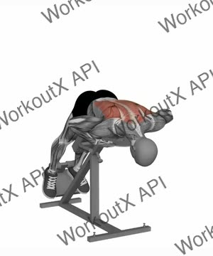 Weighted Back Extensions on Hyperextension Bench exercise demonstration