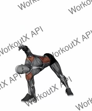 Extended Side Angle Pose exercise demonstration
