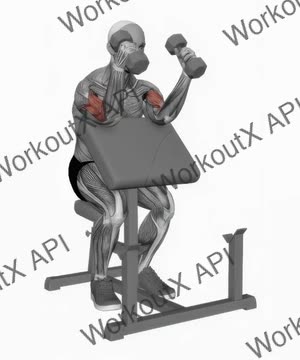 Dumbbell Zottman Preacher Curl exercise demonstration
