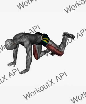 Fire Hydrant Circle Bodyweight exercise demonstration