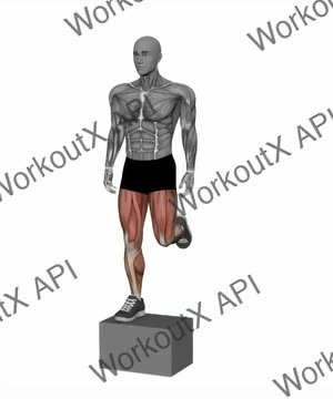 Unilateral Box Jump exercise demonstration