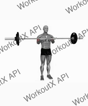 Barbell Standing Close Grip Curl exercise demonstration